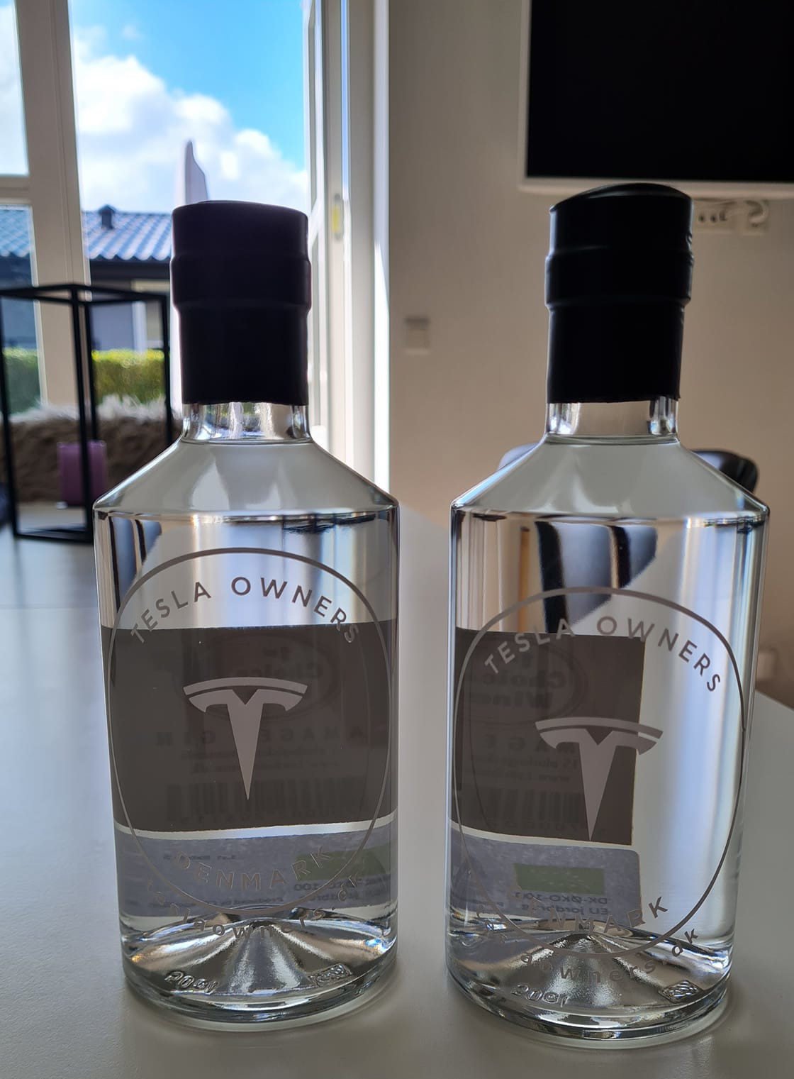 TeslaOwnersDenmark.dk