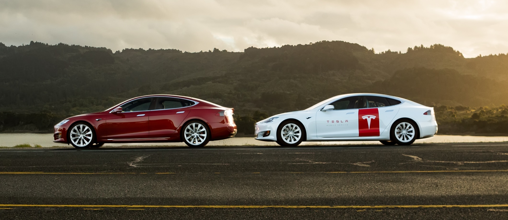 TeslaOwnersDenmark.dk